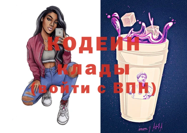 хмурый Богородицк