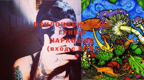 хмурый Богородицк
