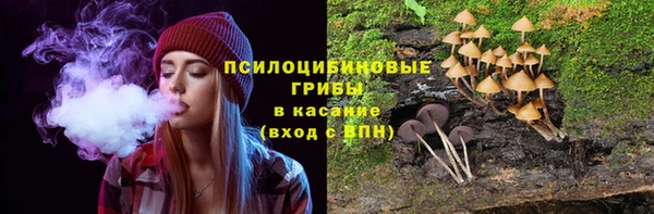 2c-b Белоозёрский