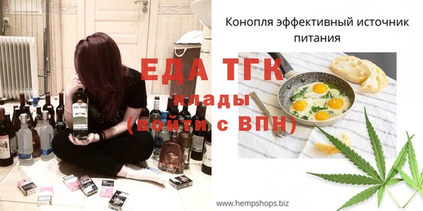 тгк Бородино