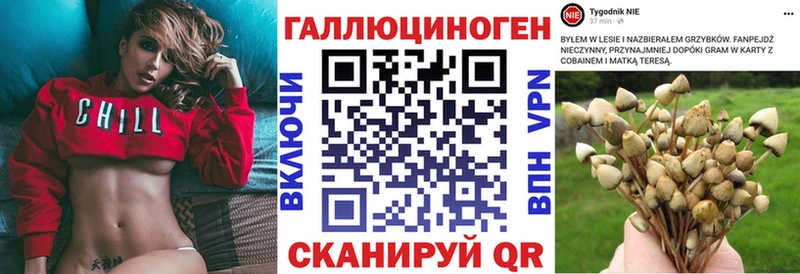 Псилоцибиновые грибы Psilocybine cubensis  Красный Холм 